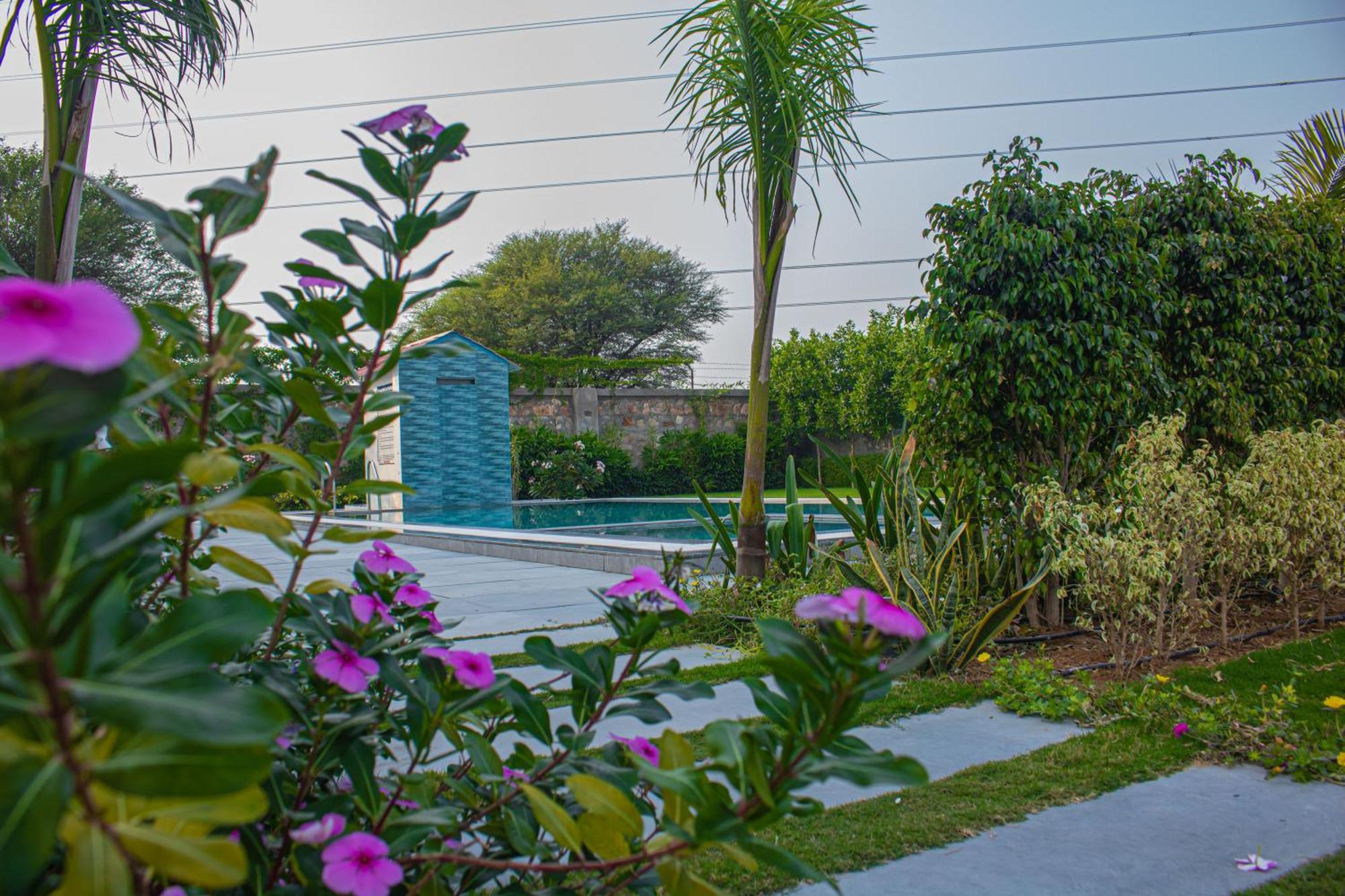 The Peace- A Luxury Private Pool Villa Jaipur Dış mekan fotoğraf